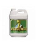 Ancient Earth 500 ml