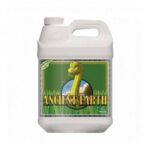 Ancient Earth 500 ml