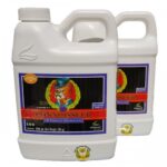 Connoisseur Bloom A-B 500 ml