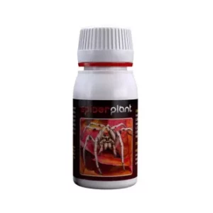 Spider Plant 60 ml