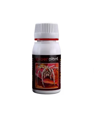 Spider Plant 60 ml