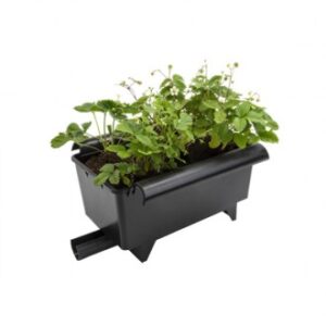 Bato Çilek Saksı 11 litre