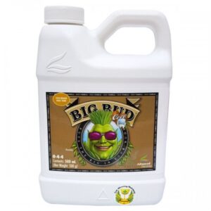 Big Bud Coco 500 ml