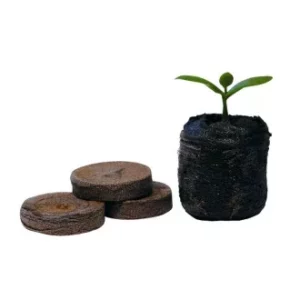 Jiffy 33 mm Şişen Tablet