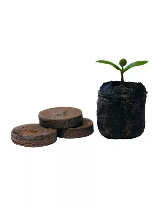 Jiffy 33 mm Şişen Tablet