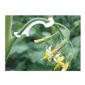 kancali-dal-destegi-10-adet-676-330×409-1