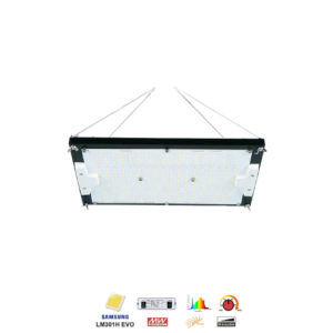 Hyper Quantum Board 150W V6 Pro