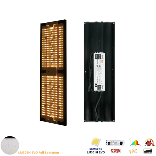 Hyper Quantum Board 250W V6 Pro