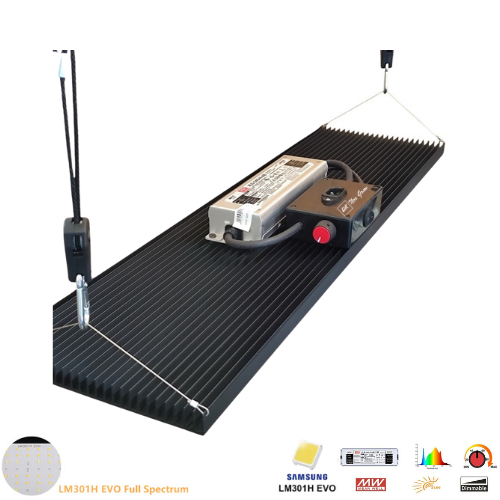 Hyper Quantum Board 250W V6 Pro