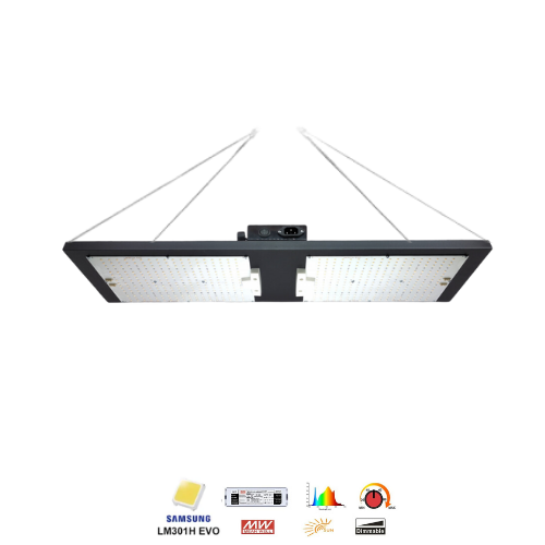 Hyper Quantum Board 250W V6 Pro