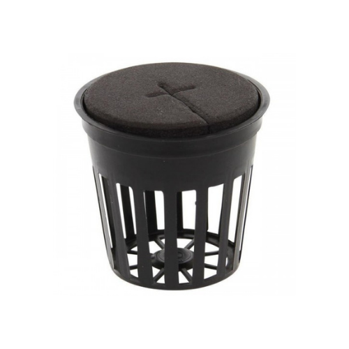 X-Stream Propagatör 120