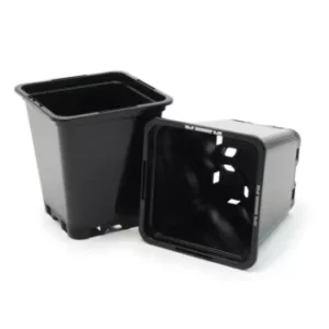 NoxGrow Fide Saksı 9x9x10cm 0.5 litre