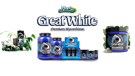 NoxGrow-Plant-success-banner