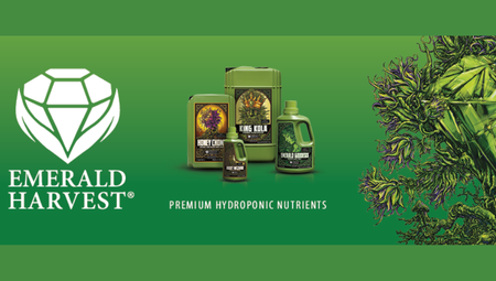 noxgrow-emrald-harvest-banner-mobile