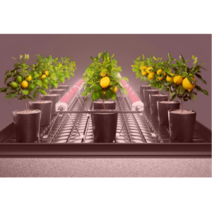 hyper-under-canopy-120w-pro2