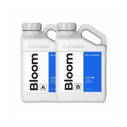 Athena Bloom A+B 0.94 Litre